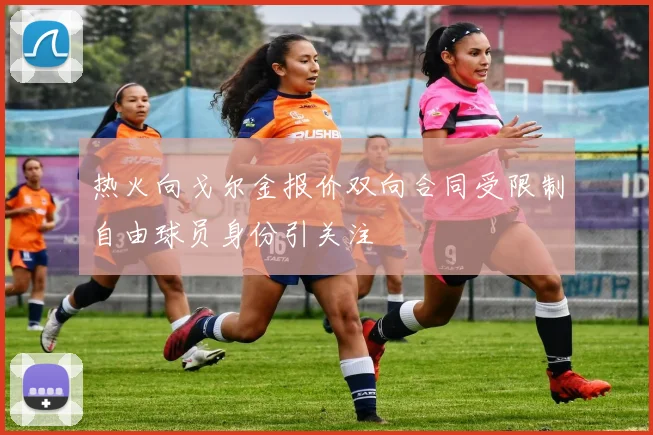 热火向戈尔金报价双向合同受限制自由球员身份引关注