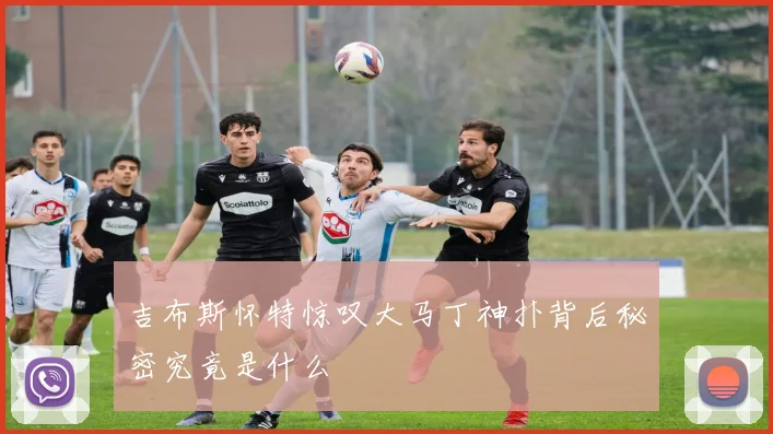 吉布斯怀特惊叹大马丁神扑背后秘密究竟是什么