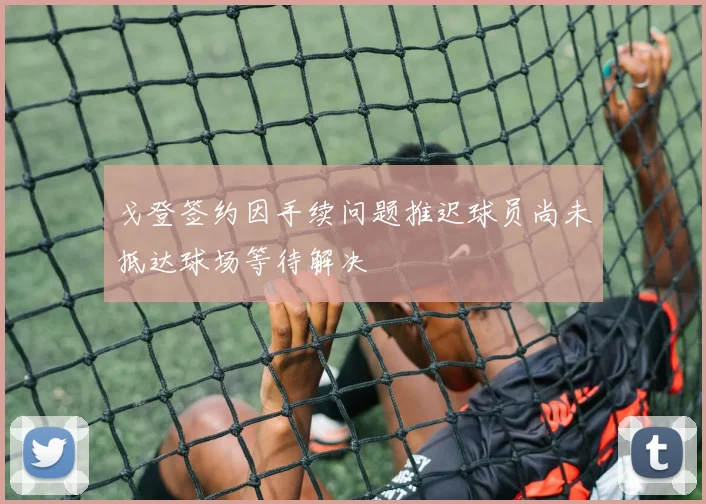 戈登签约因手续问题推迟球员尚未抵达球场等待解决
