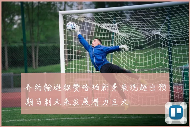 乔约翰逊称赞哈珀新秀表现超出预期马刺未来发展潜力巨大